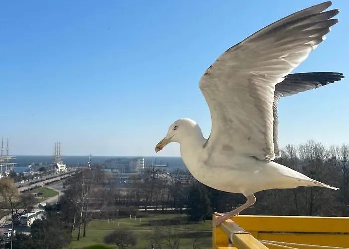 Apartamento Skwer Kosciuszki